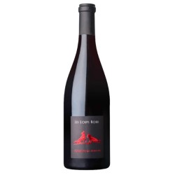 Saumur Champigny bio Les...