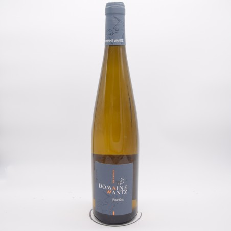 Vin blanc bio - Pinot gris