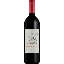 Vin rouge - Corbières -...