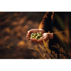 Huile d'olive au citron 20cl