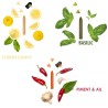 Coffret 3 crayons OCNI citron confit, piment et ail, Basilic