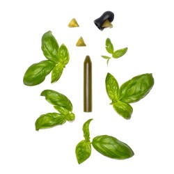 Recharge crayon Basilic bio