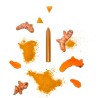 Recharge crayon curry et curcuma bio