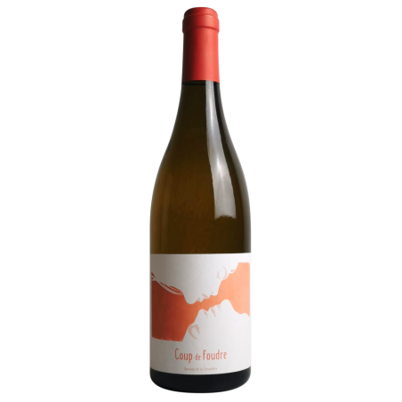 Coup de foudre Muscadet Sèvre et Maine sur lie bio